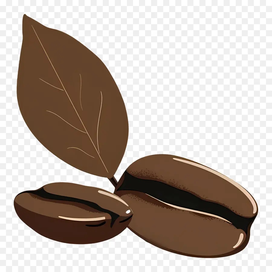 Biji Kopi，Coklat Kacang PNG