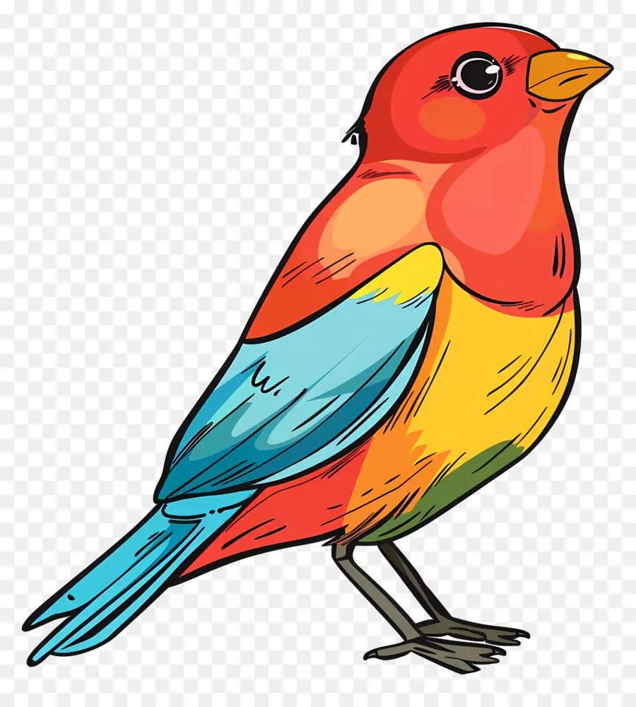 Burung，Warna Warni Burung PNG