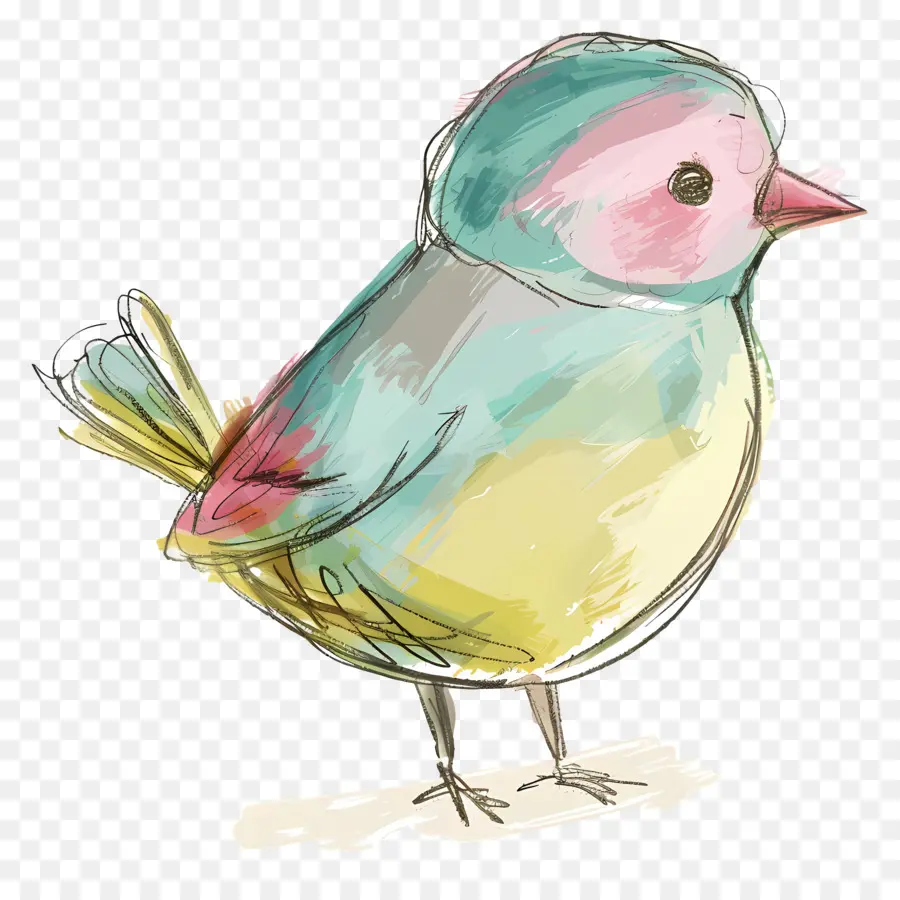 Burung Doodle，Burung Kecil PNG