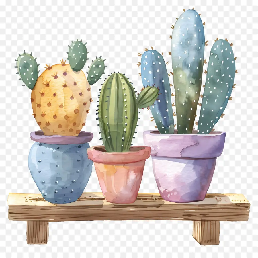 Kaktus Pot，Kaktus PNG