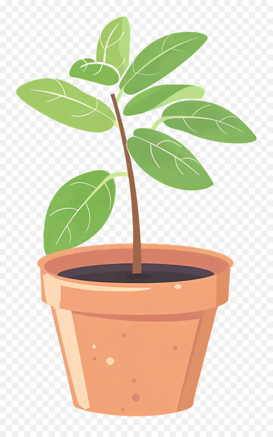 Bibit，Houseplant PNG