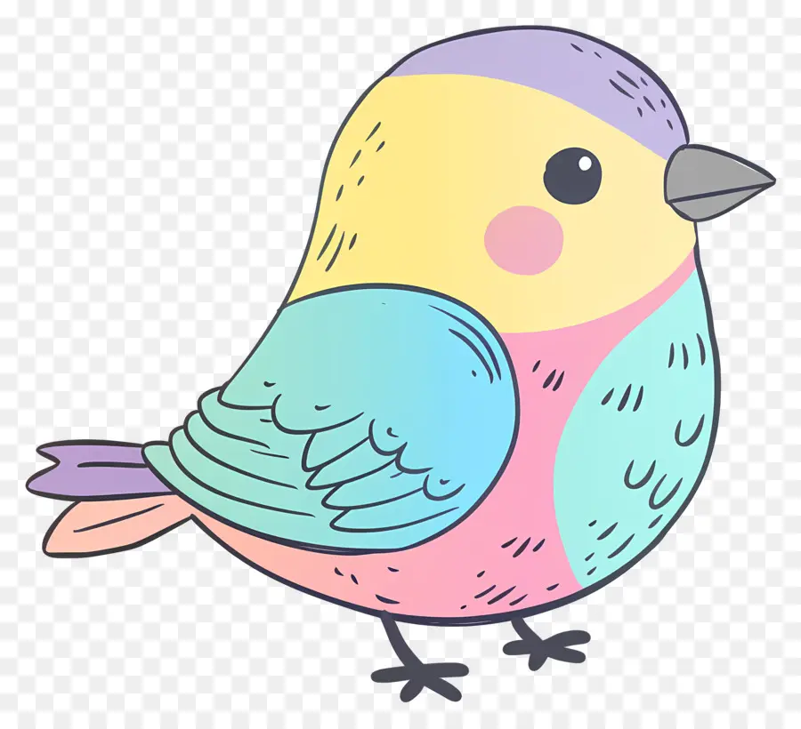 Burung Doodle，Warna Warni Burung PNG