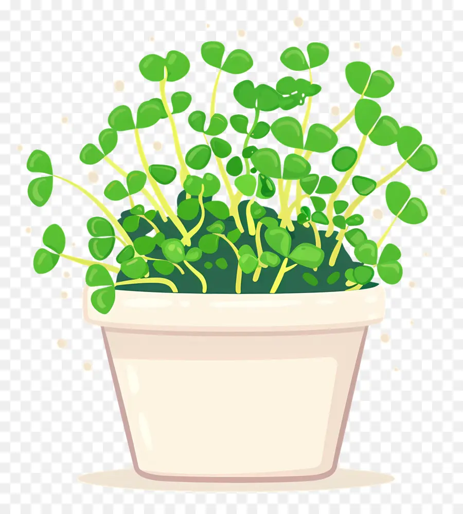 Pot Microgreens，Pakis PNG