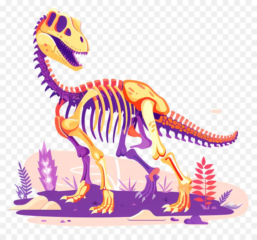 Kerangka Dinosaurus，Tyrannosaurus Rex PNG