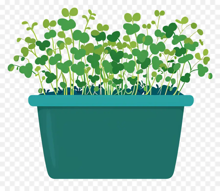 Pot Microgreens，Pot Keramik Biru Kecil PNG