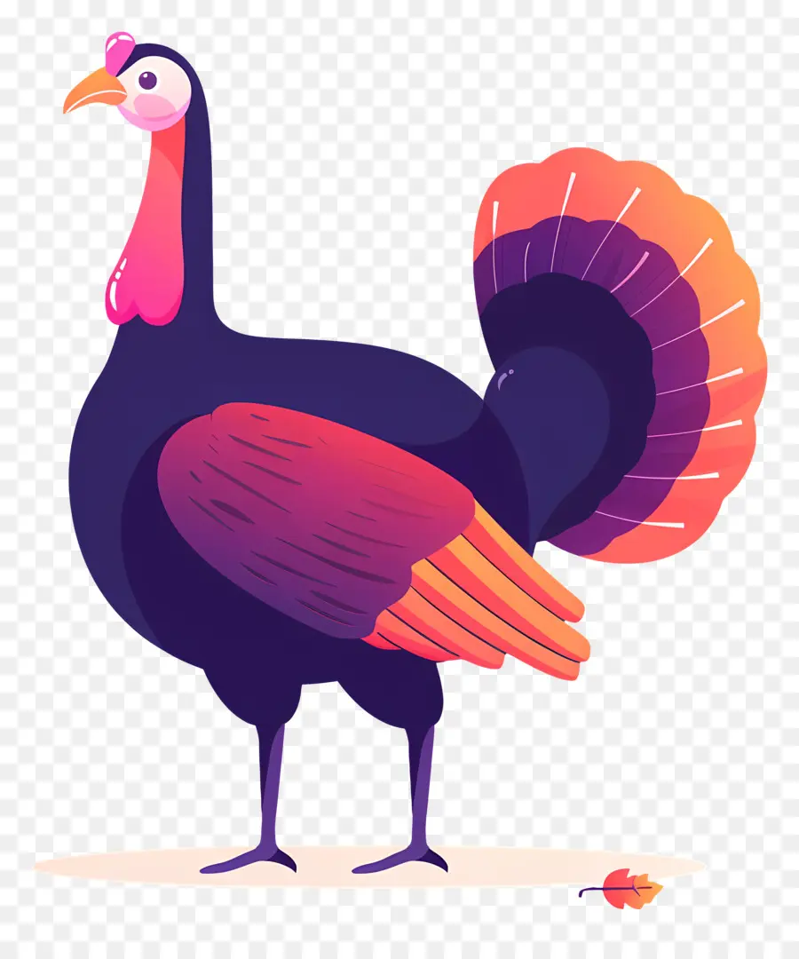 Thanksgiving Turki，Turki PNG