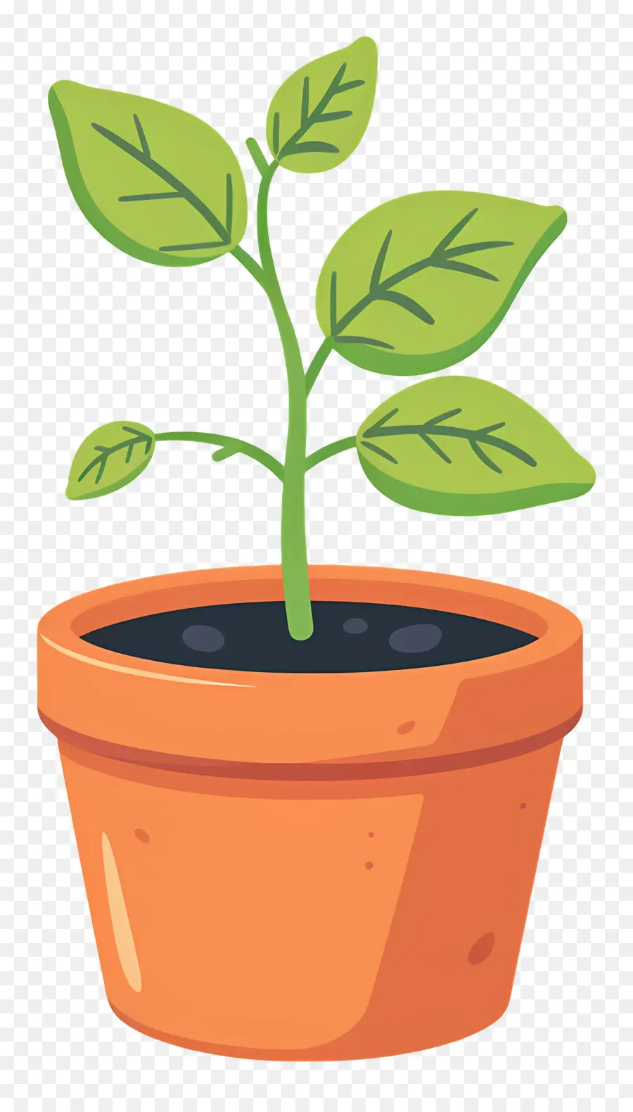 Bibit，Houseplant PNG