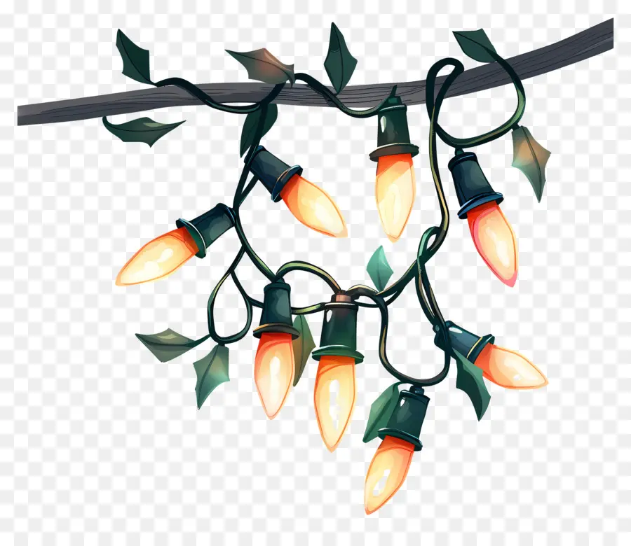 Lampu Natal，Lampu PNG