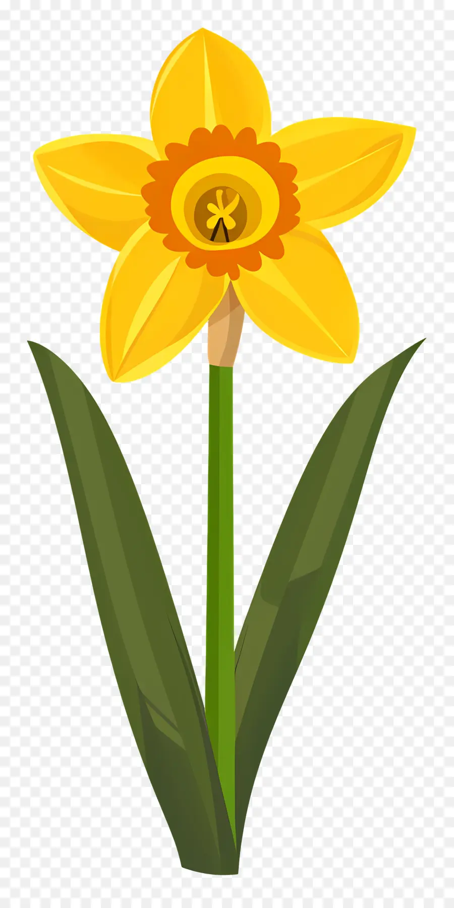 Bunga Bakung，Daffodil PNG