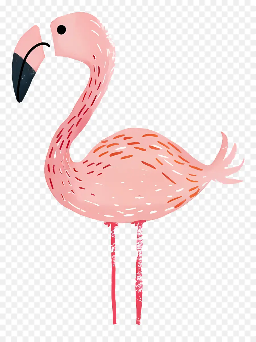 Flamingo，Flamingo Merah Muda PNG