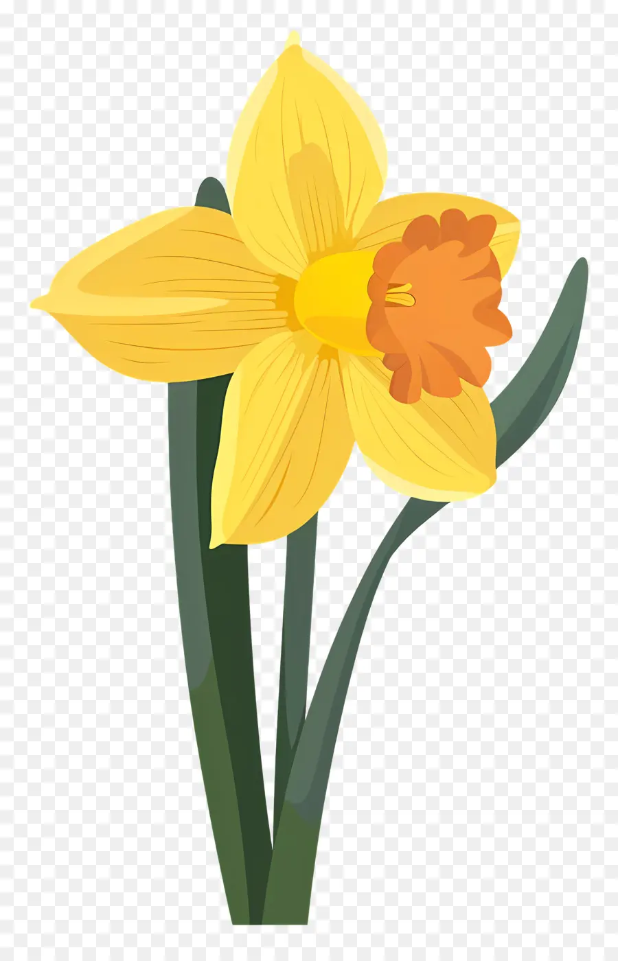 Bunga Bakung，Daffodil PNG