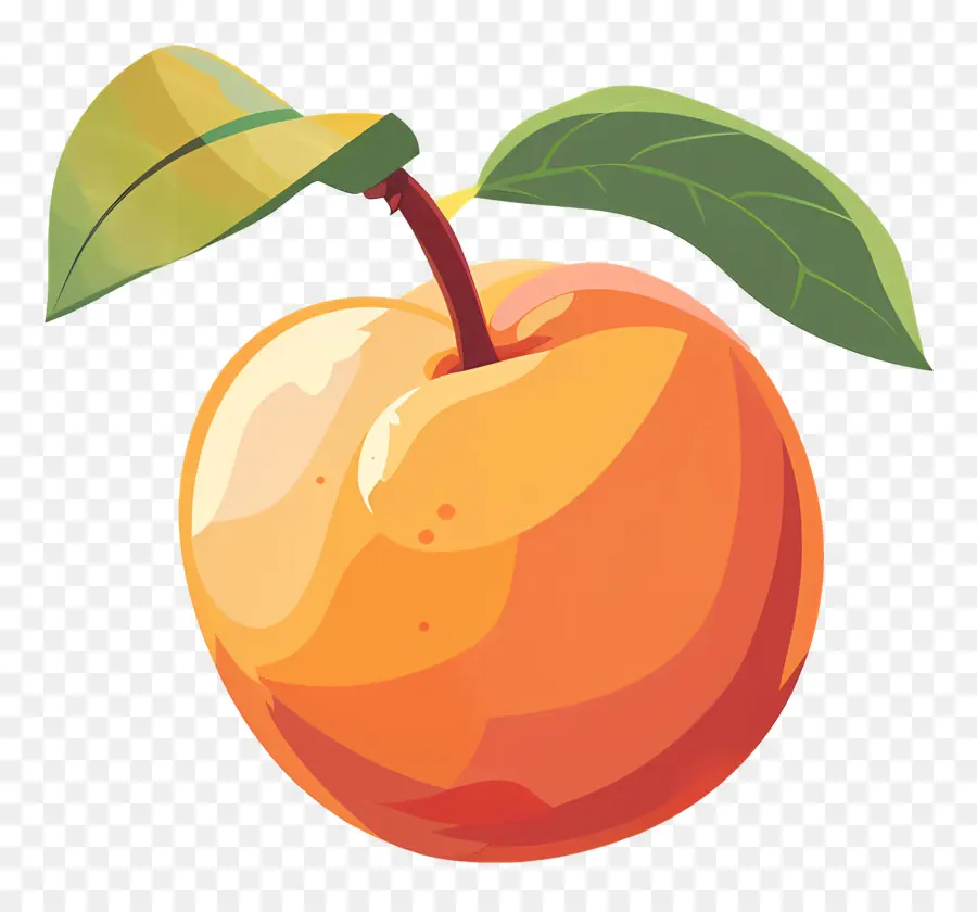 Nektarin，Orange PNG