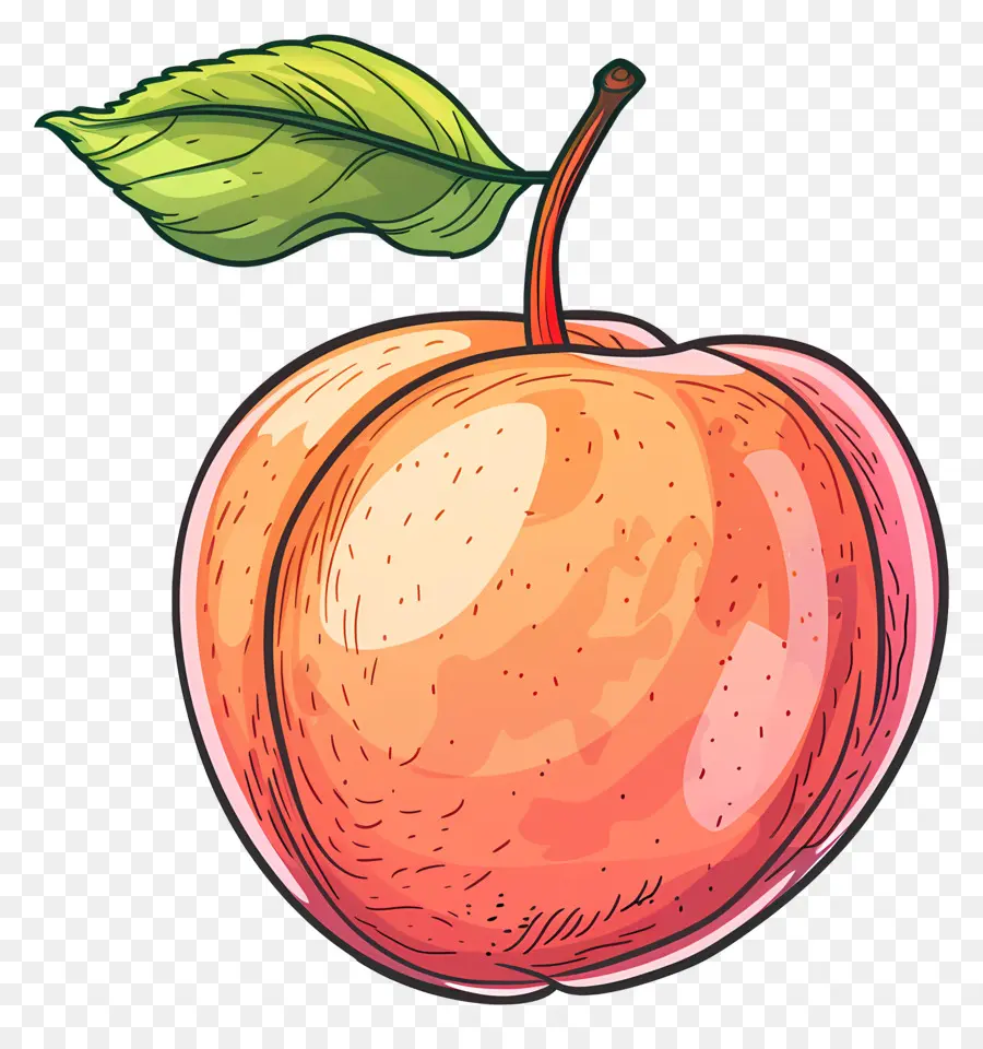 Nektarin，Apple PNG