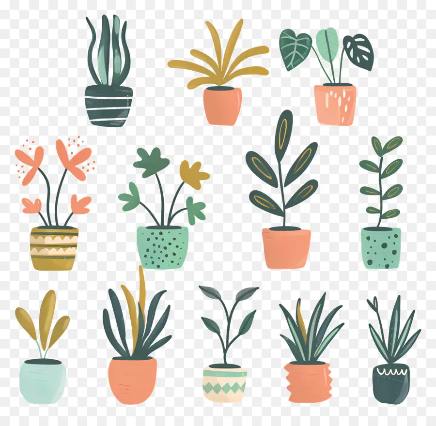 Houseplants Dalam Pot，Succulents PNG