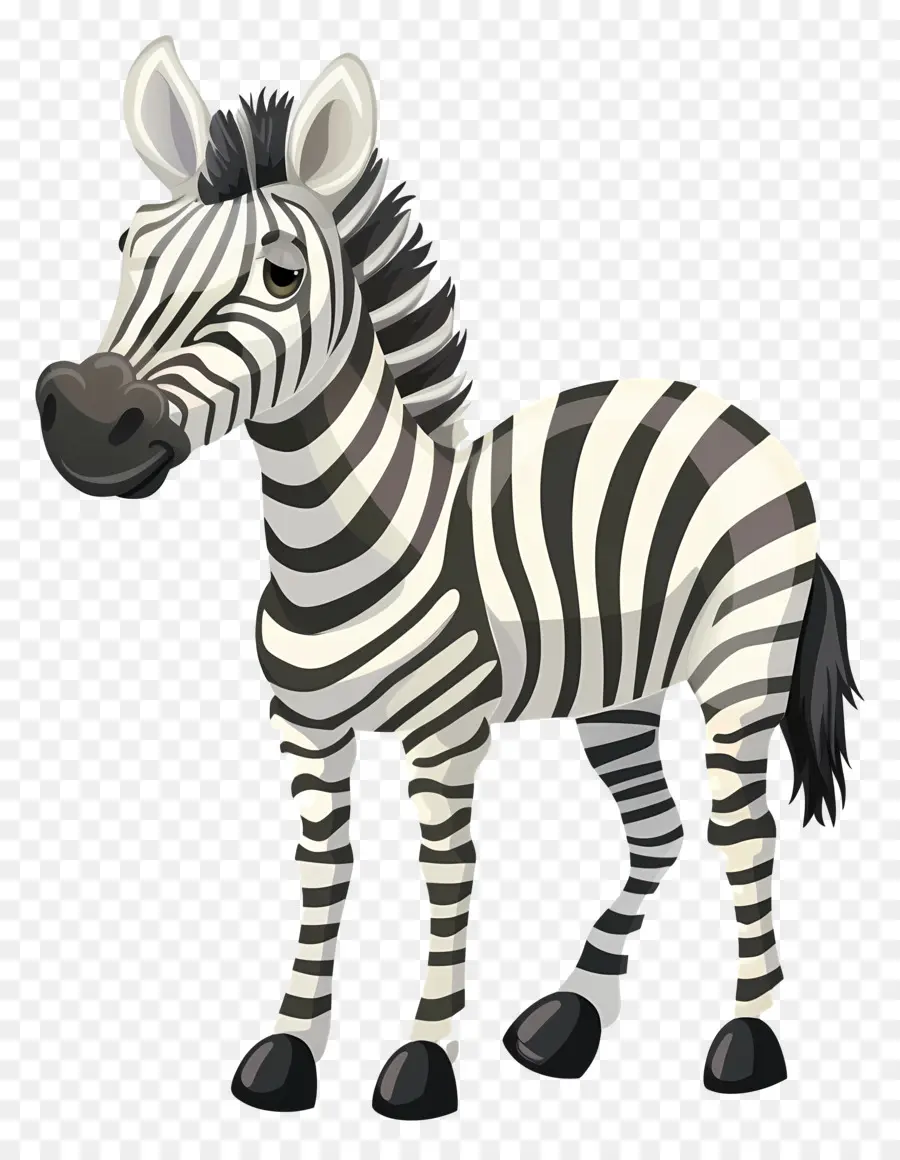 Zebra，Satwa Liar PNG