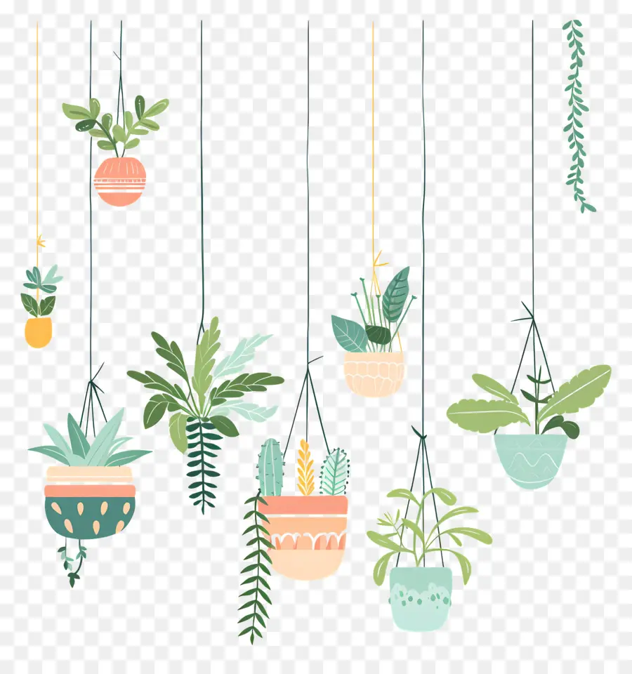 Houseplants Menggantung，Tanaman Gantung PNG