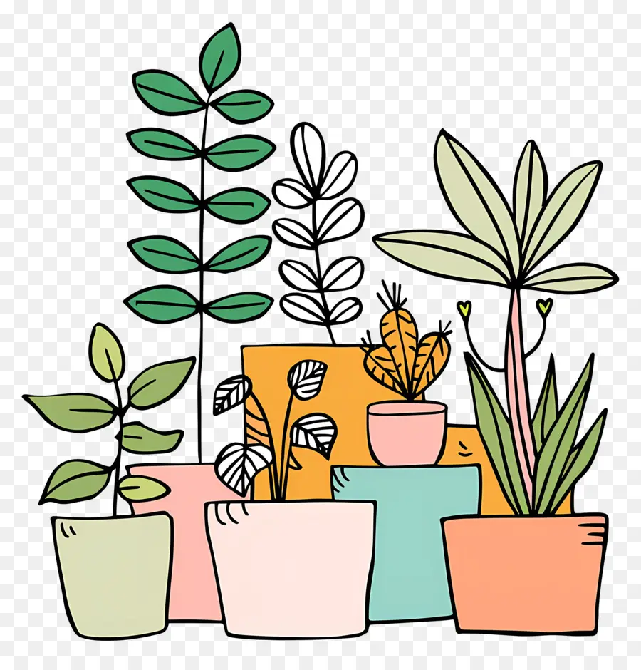 Houseplants Dalam Pot，Pot Tanaman PNG