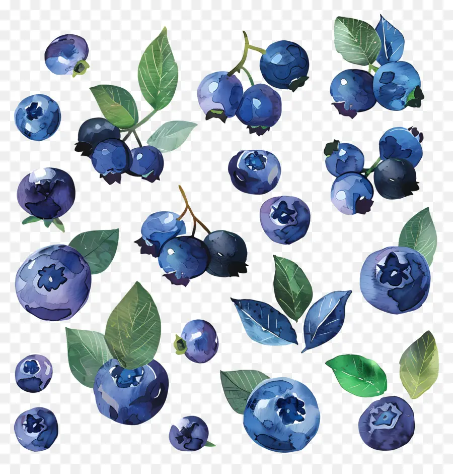 Blueberry，Lukisan Cat Air PNG