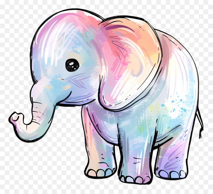 Gajah，Warna Warni PNG