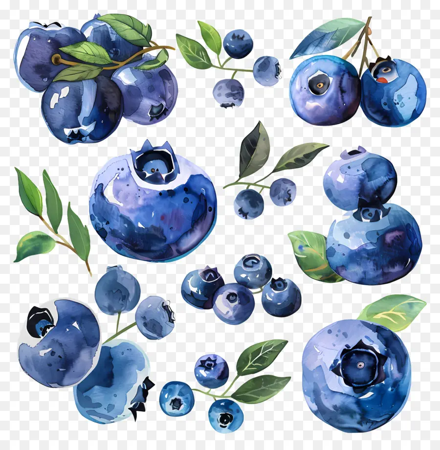 Blueberry，Blueberry PNG