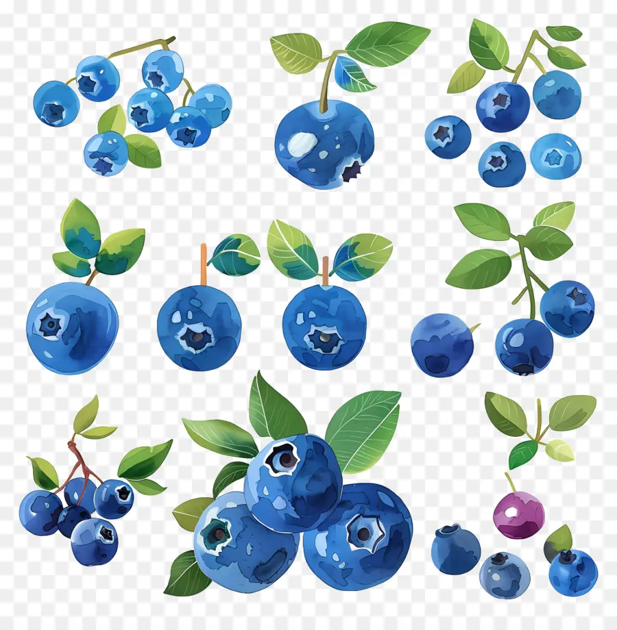 Blueberry，Blueberry PNG