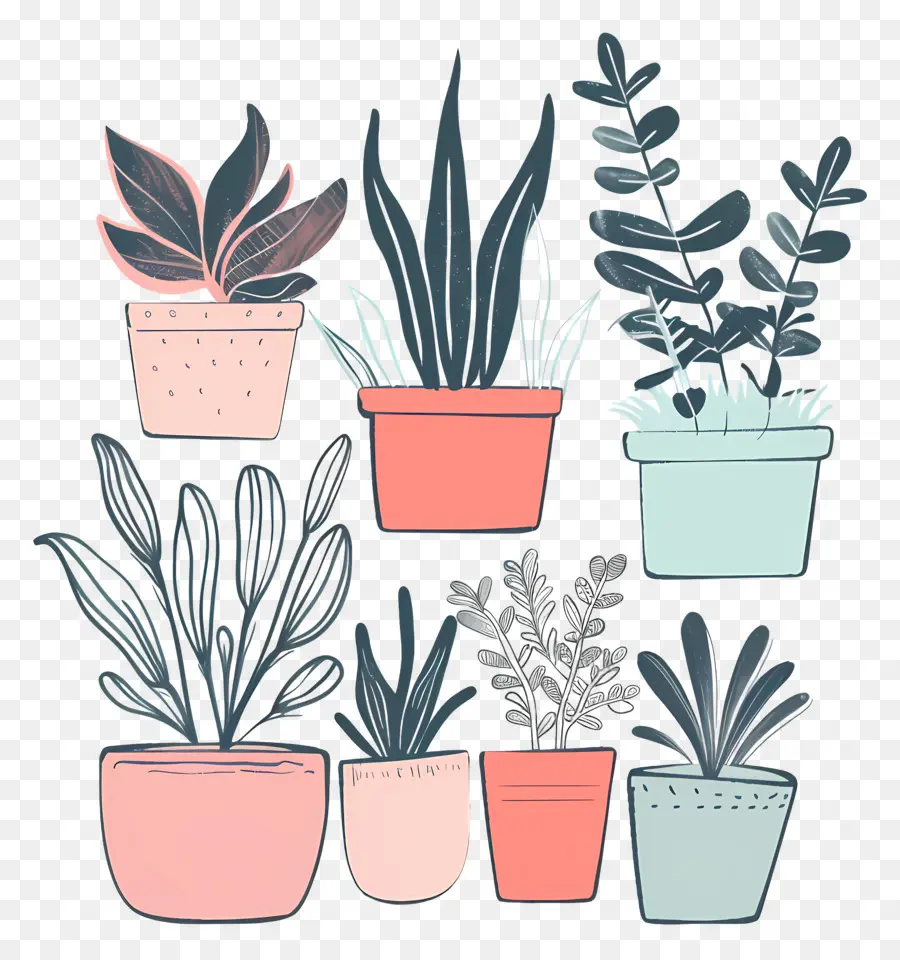 Houseplants Dalam Pot，Pot Tanaman PNG