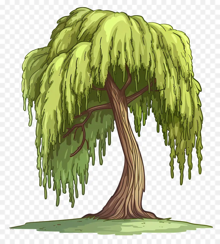 Pohon Willow，Kartun PNG