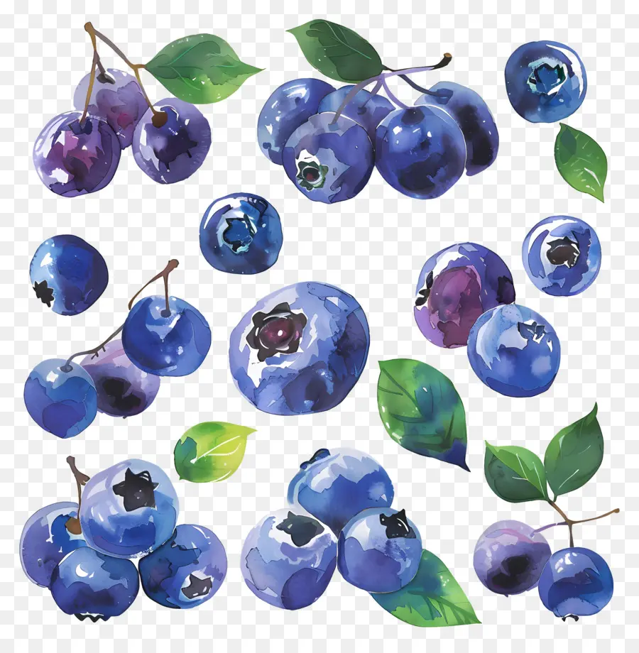 Blueberry，Blueberry PNG