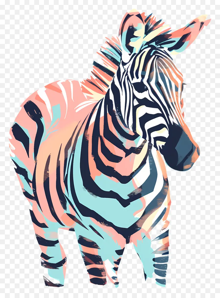 Zebra，Warna Warni PNG