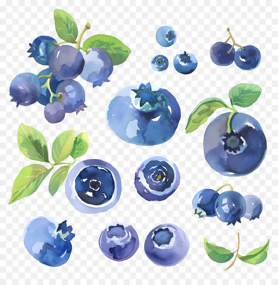 Blueberry，Blueberry PNG