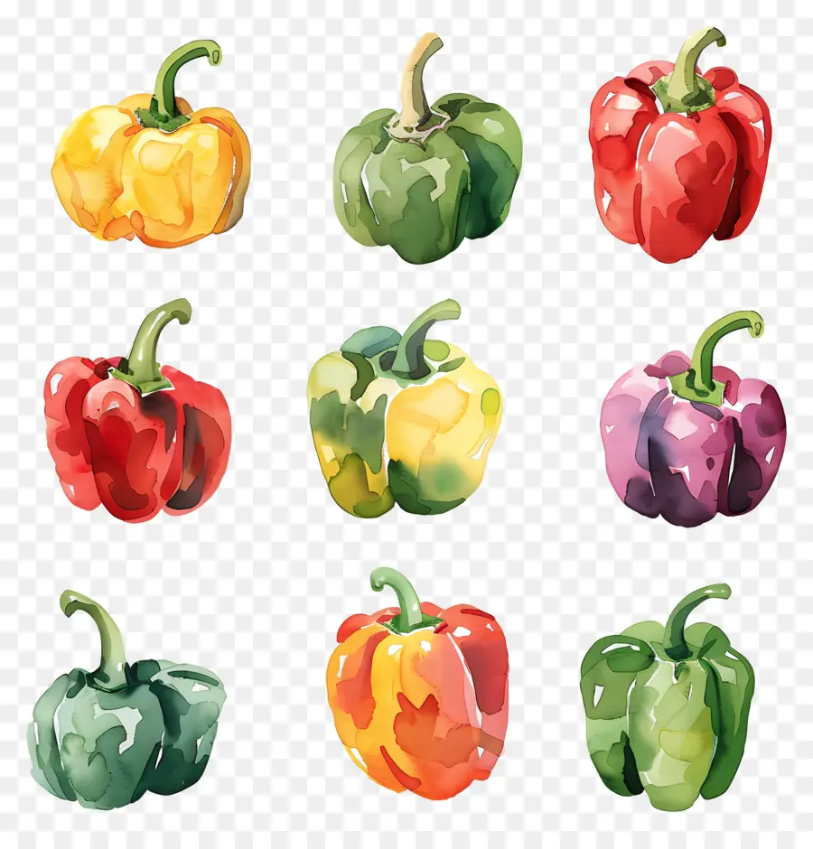 Paprika，Cabai PNG