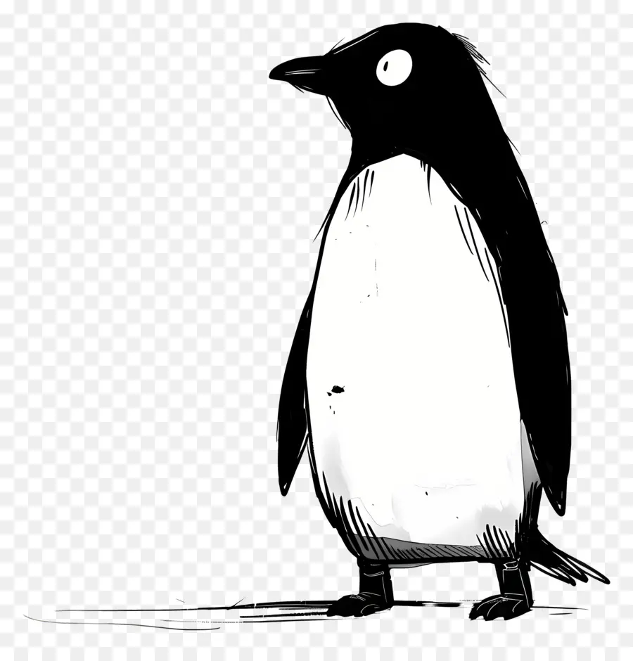 Kartun Penguin，Penguin Kartun PNG