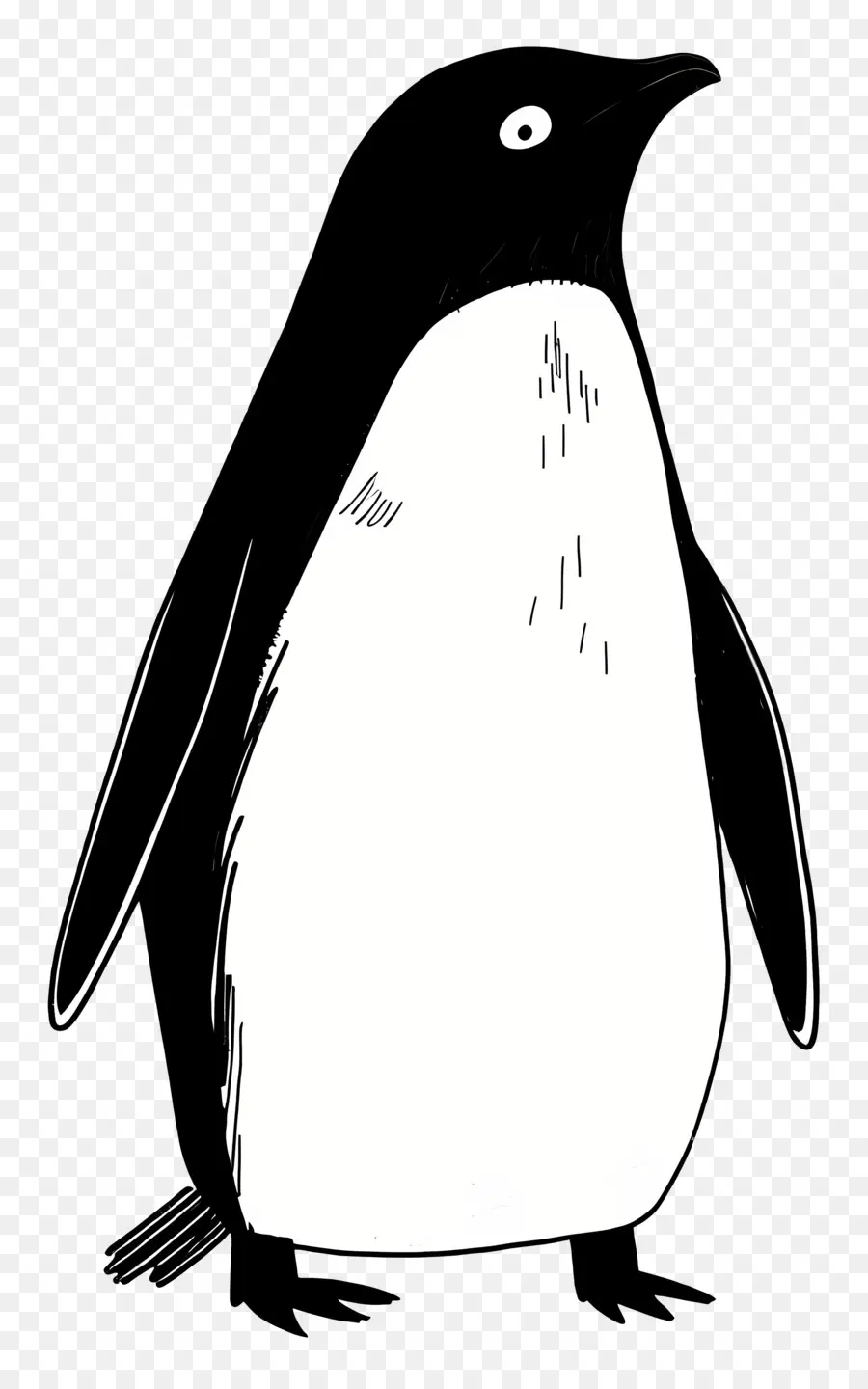 Kartun Penguin，Penguin PNG