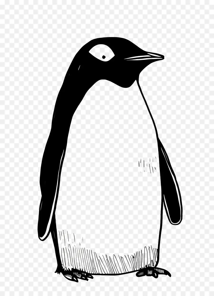 Kartun Penguin，Penguin PNG