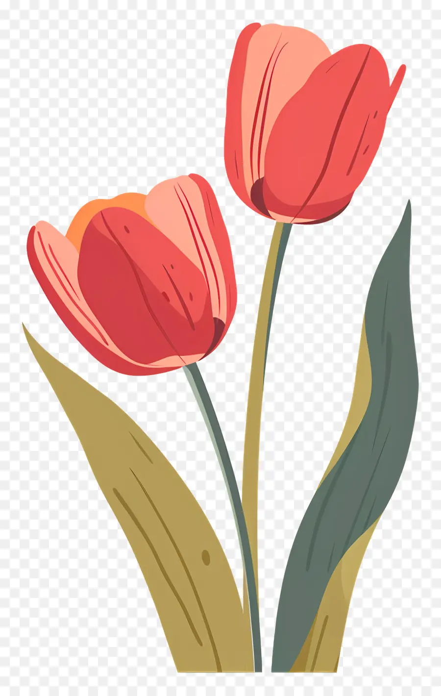 Buket Tulip，Buket PNG