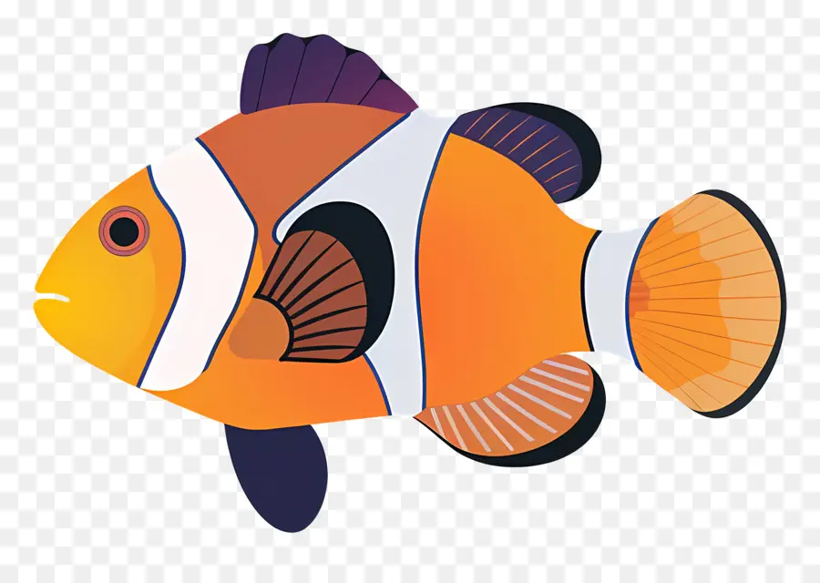 Ikan Badut，Clownfish PNG