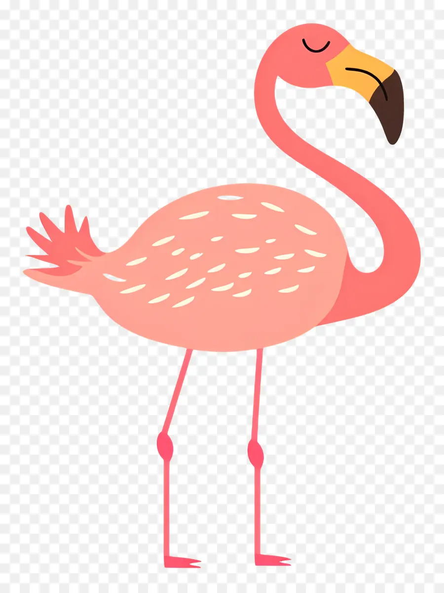 Flamingo，Flamingo Merah Muda PNG