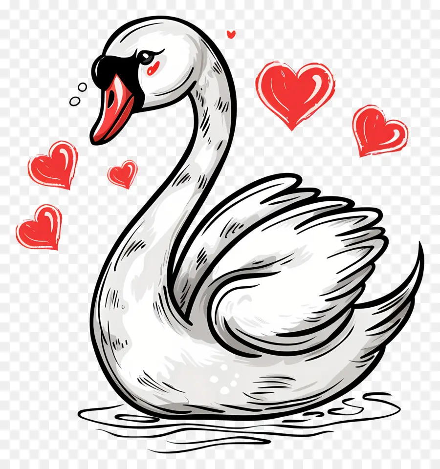 Swan，Hati PNG