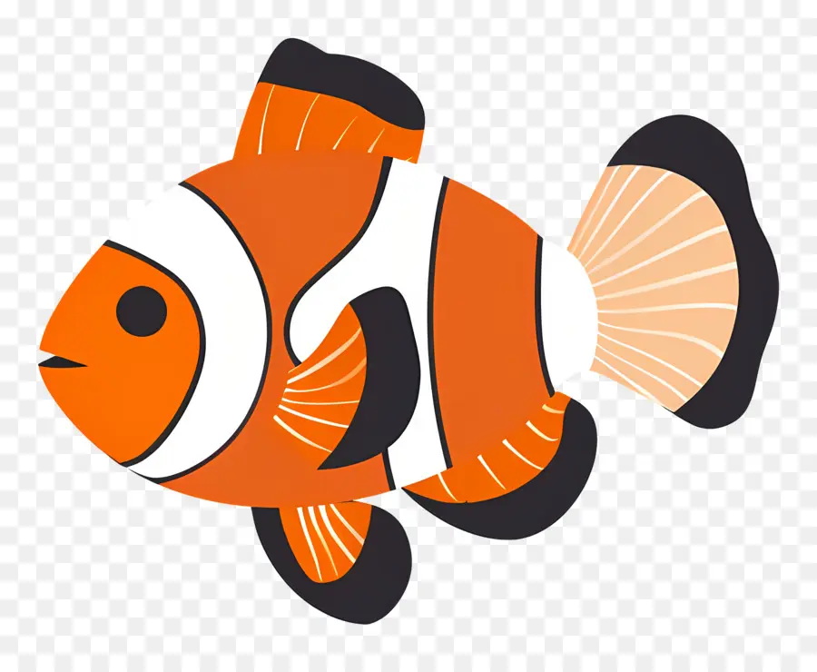 Ikan Badut，Clownfish PNG