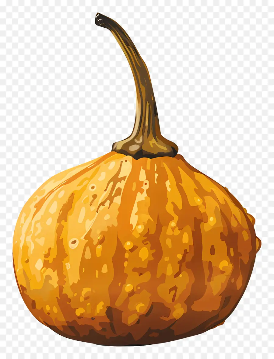 Labu，Orange PNG