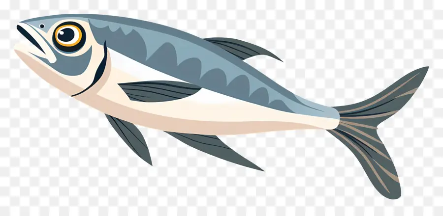 Sarden，Bluefish PNG