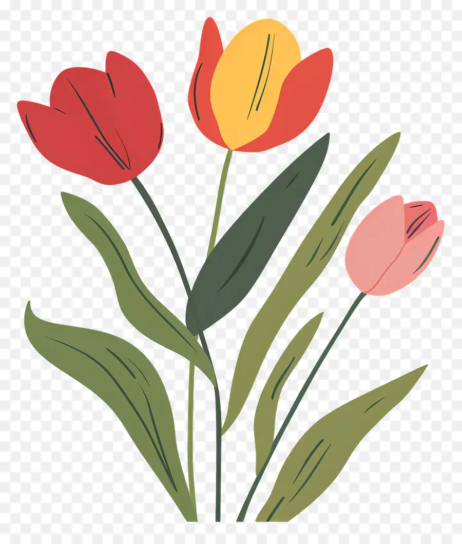 Tulip Paskah，Tulip PNG