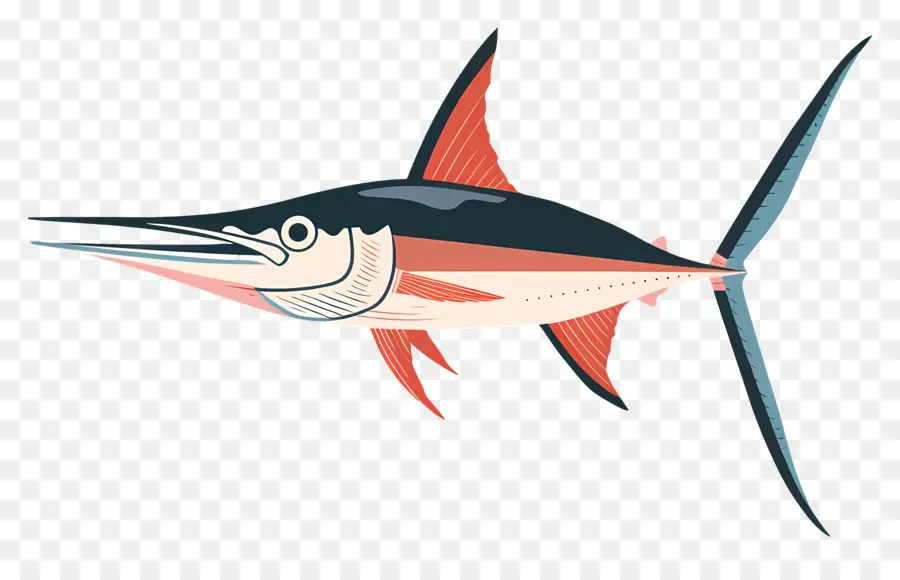 Ikan Todak，Marlin Ikan PNG