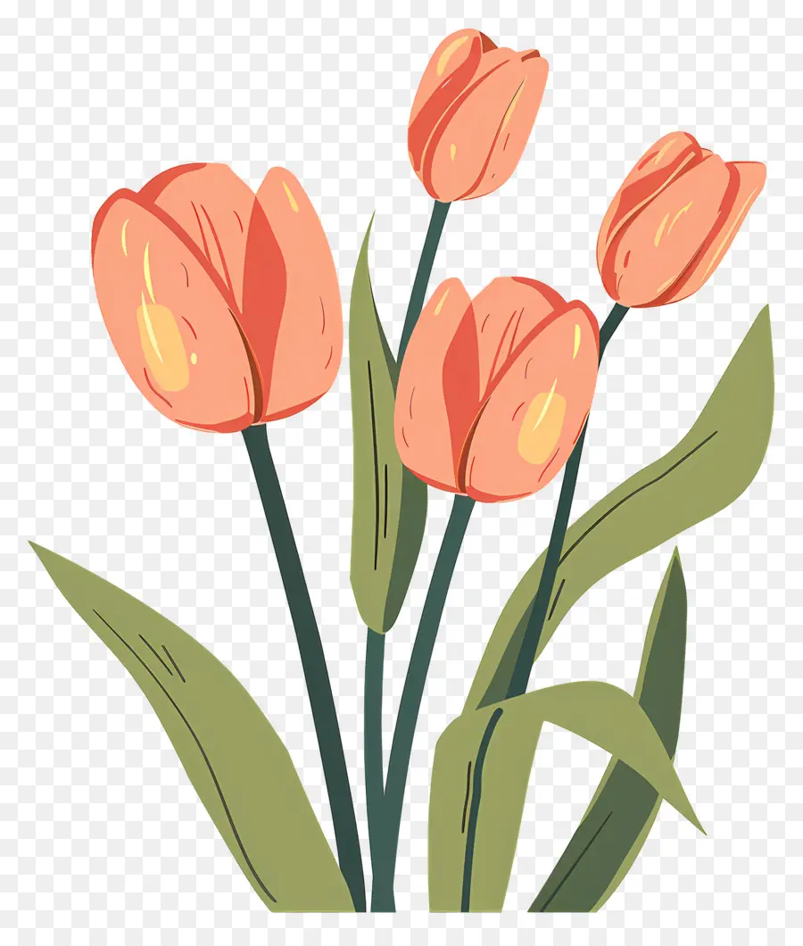 Tulip Paskah，Pink Tulips PNG