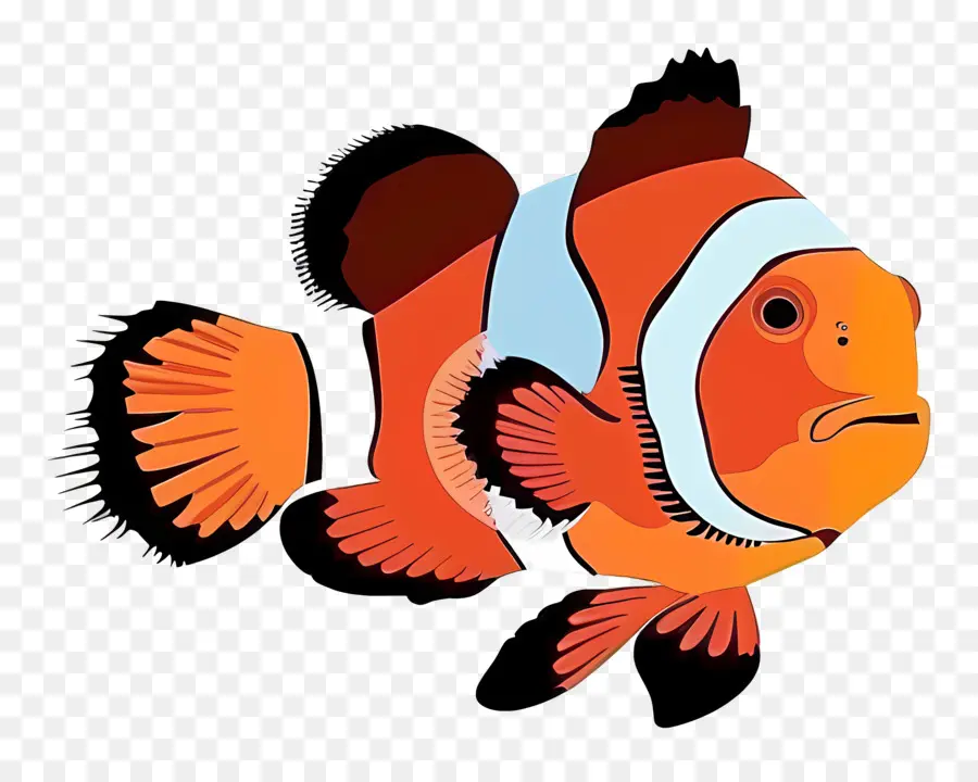 Ikan Badut，Clownfish PNG