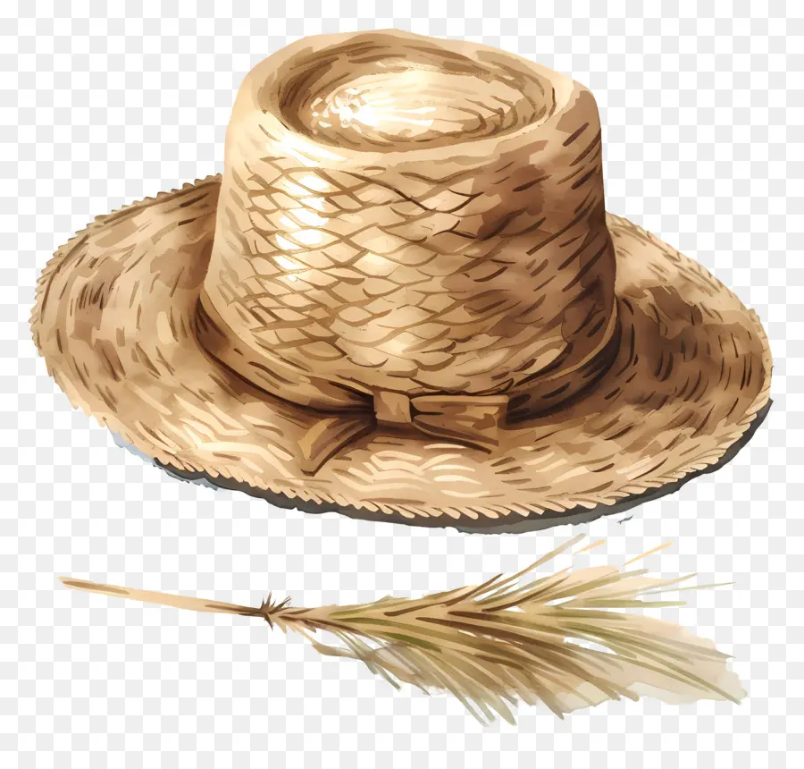 Topi Jerami，Bulu PNG