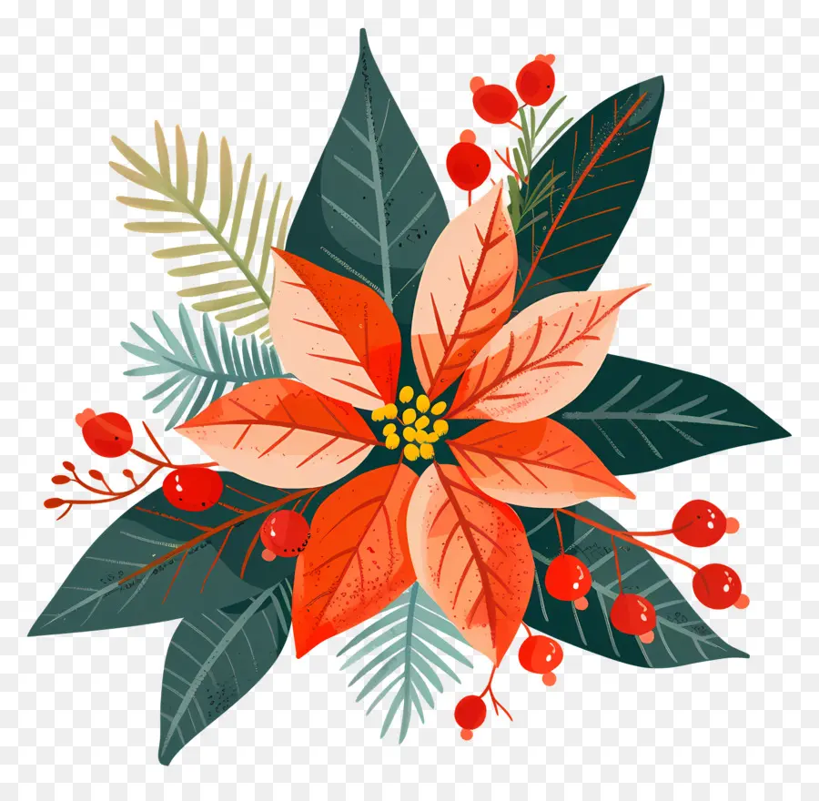 Natal Bunga，Poinsettia PNG