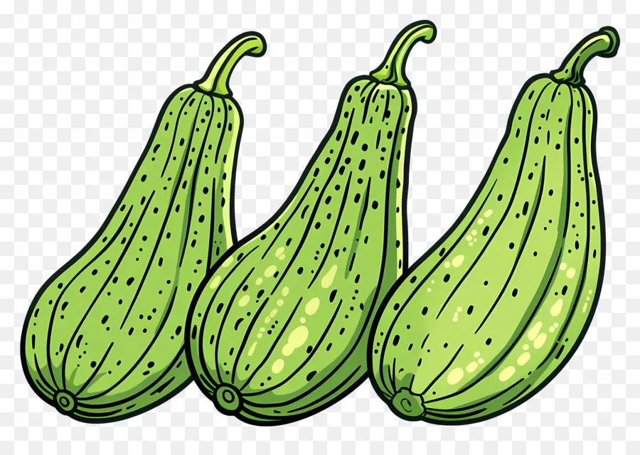 Labu Pahit，Zucchini PNG