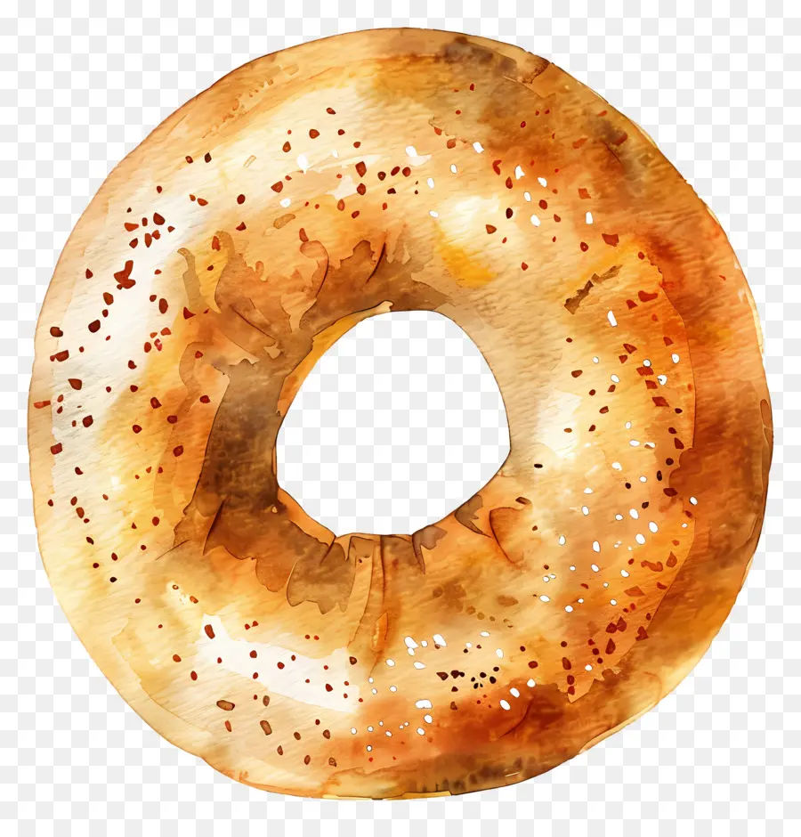 Bagel，Cat Air PNG