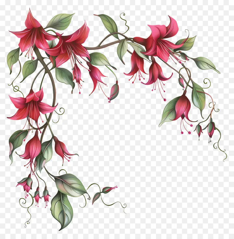 Bunga Fuchsia，Bunga Merah Muda PNG